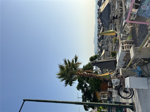 IMG 9925